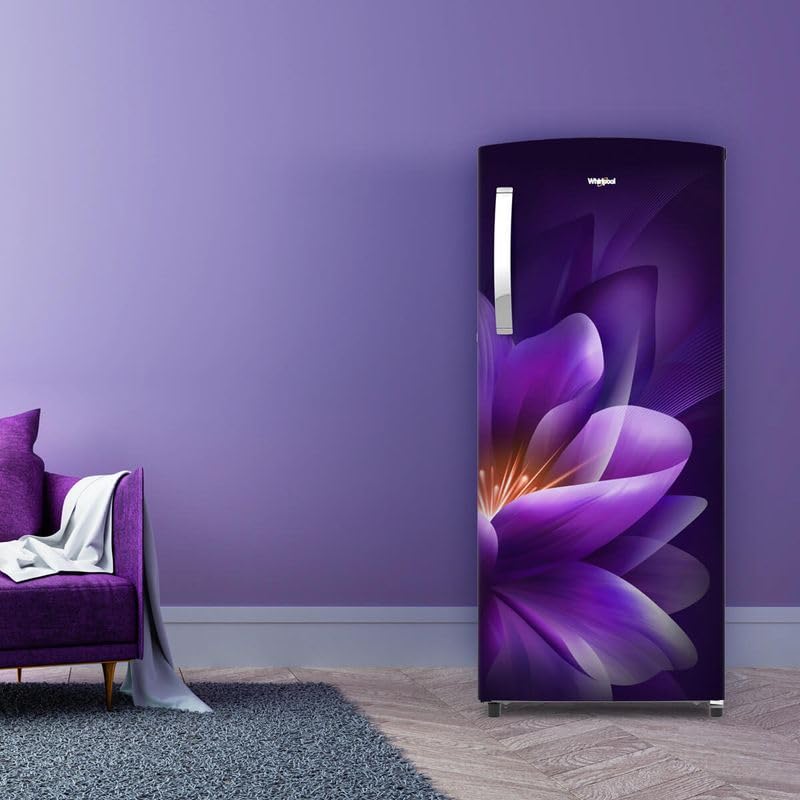 Whirlpool 192 L 3 Star Direct-Cool Single Door Refrigerator (215 IMPRO PRM 3S PURPLE FOREST-Z,2023 Model) 1