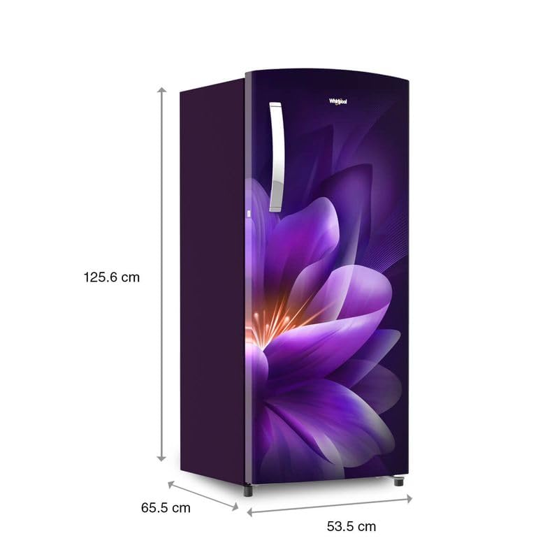 Whirlpool 192 L 3 Star Direct-Cool Single Door Refrigerator (215 IMPRO PRM 3S PURPLE FOREST-Z,2023 Model) 5