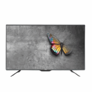 Television