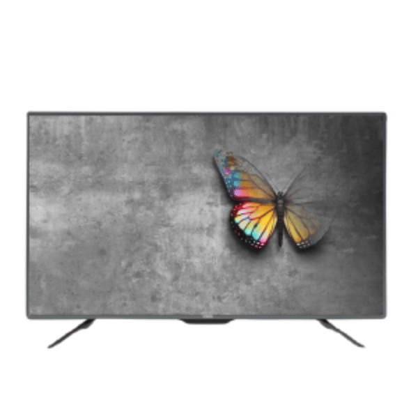 Television