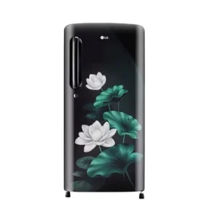 LG GL-B201AELU 185 Litres Single Door Refrigerator, 5 Star Rated & Inverter Direct Cool Emerald Lotus