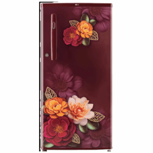 LG GL-B199ORKD 185 L Direct Cool Single Door 3 Star Refrigerator with Fast Ice Making