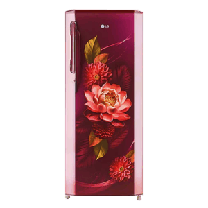 LG 261 L Direct Cool Single Door 3 Star Refrigerator (Red Water Lily, GL-B281BRWX)
