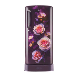 LG GL-D201APBD 185L 3Star Direct-Cool Single Door Refrigerator Moist ‘N’ Fresh