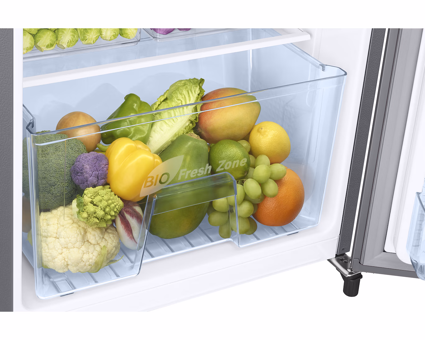 in-httpsamsungcominrefrigerators1-door-449884-rr20c2y23s8-nl-535150267