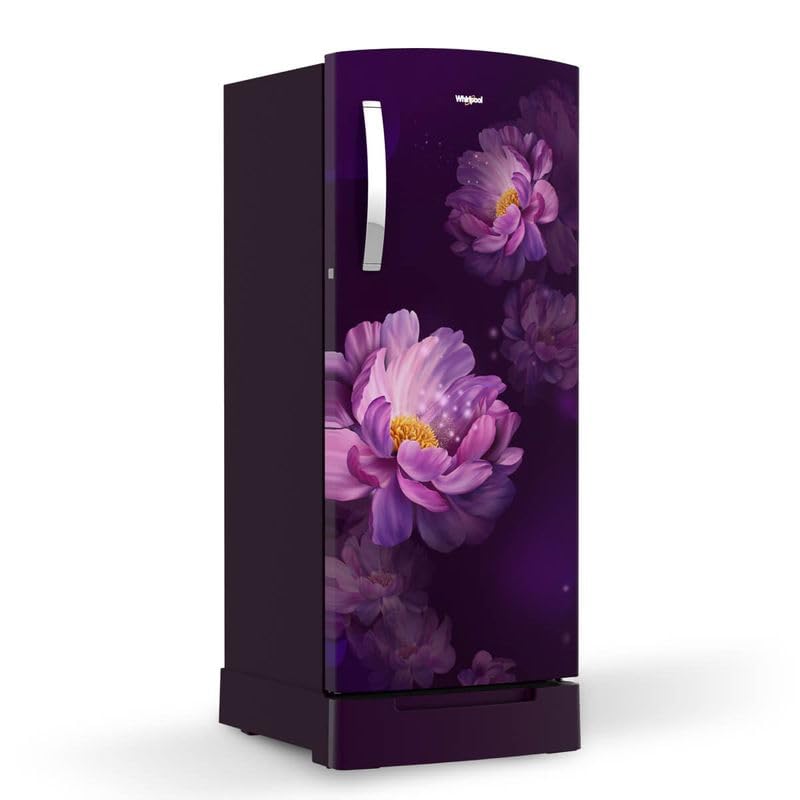 215 IMPRO ROY 3S PURPLE PEONY-Z,2023 2