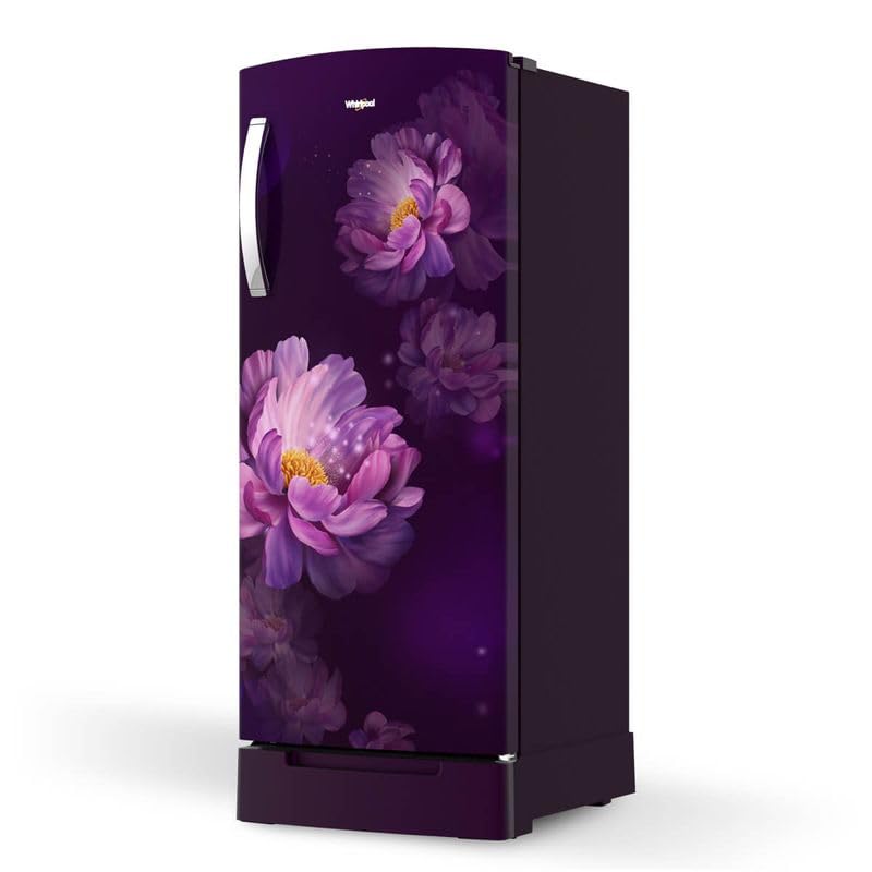 215 IMPRO ROY 3S PURPLE PEONY-Z,2023 3