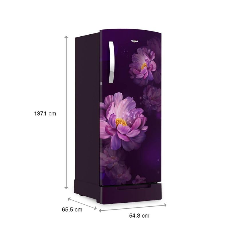 215 IMPRO ROY 3S PURPLE PEONY-Z,2023 4