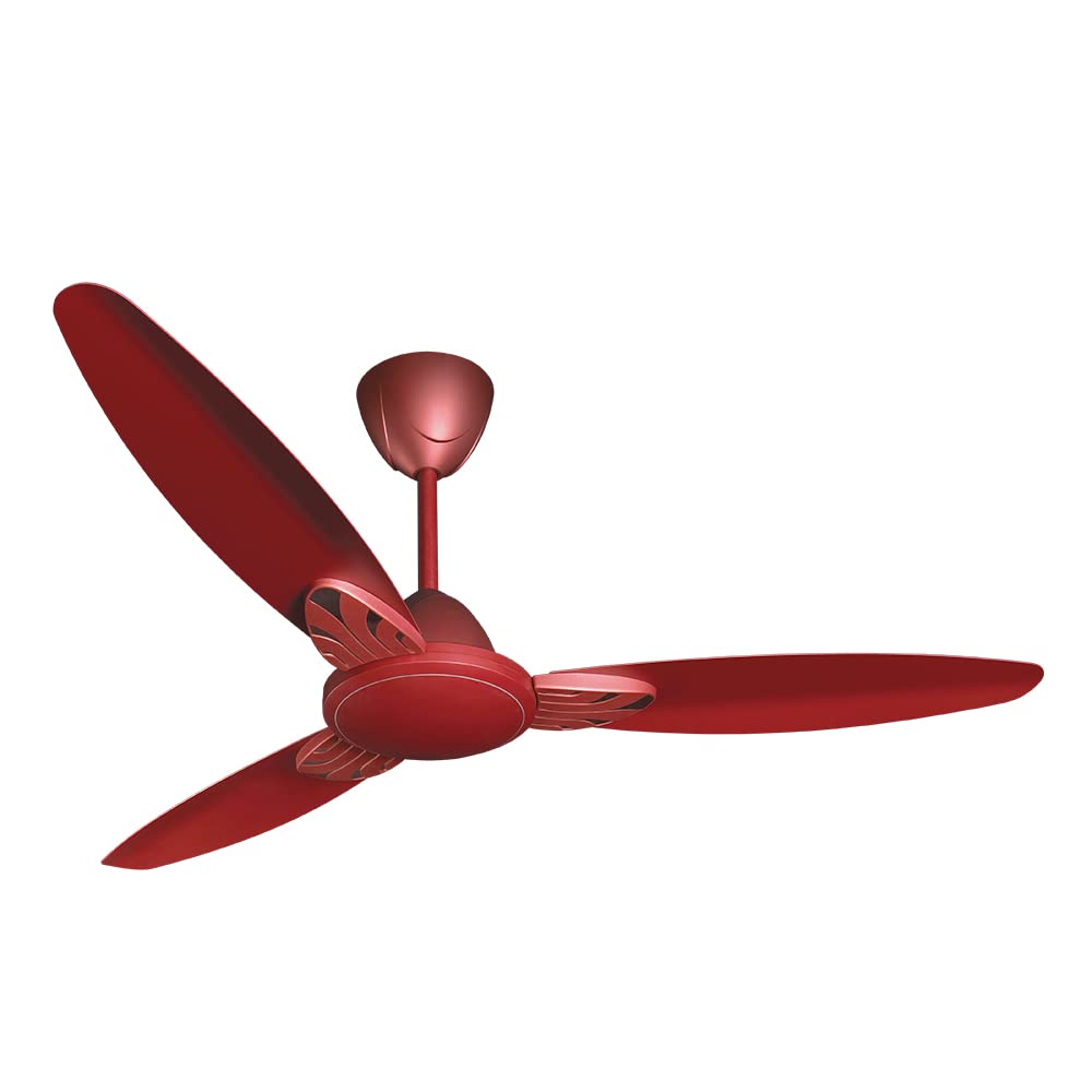 CG FAN SENOPRIME MAROON MATT1200MM-1