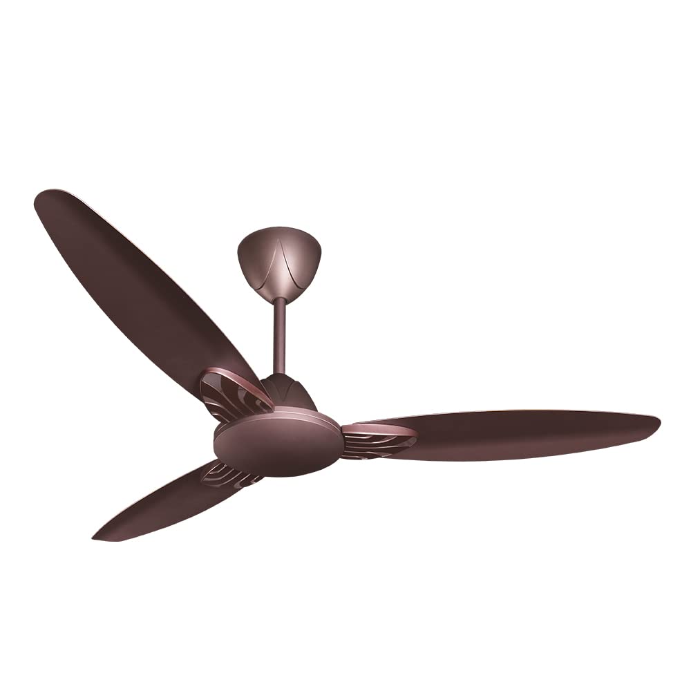 CG FAN SENOPRIME ROAST BROWN1200MM-1