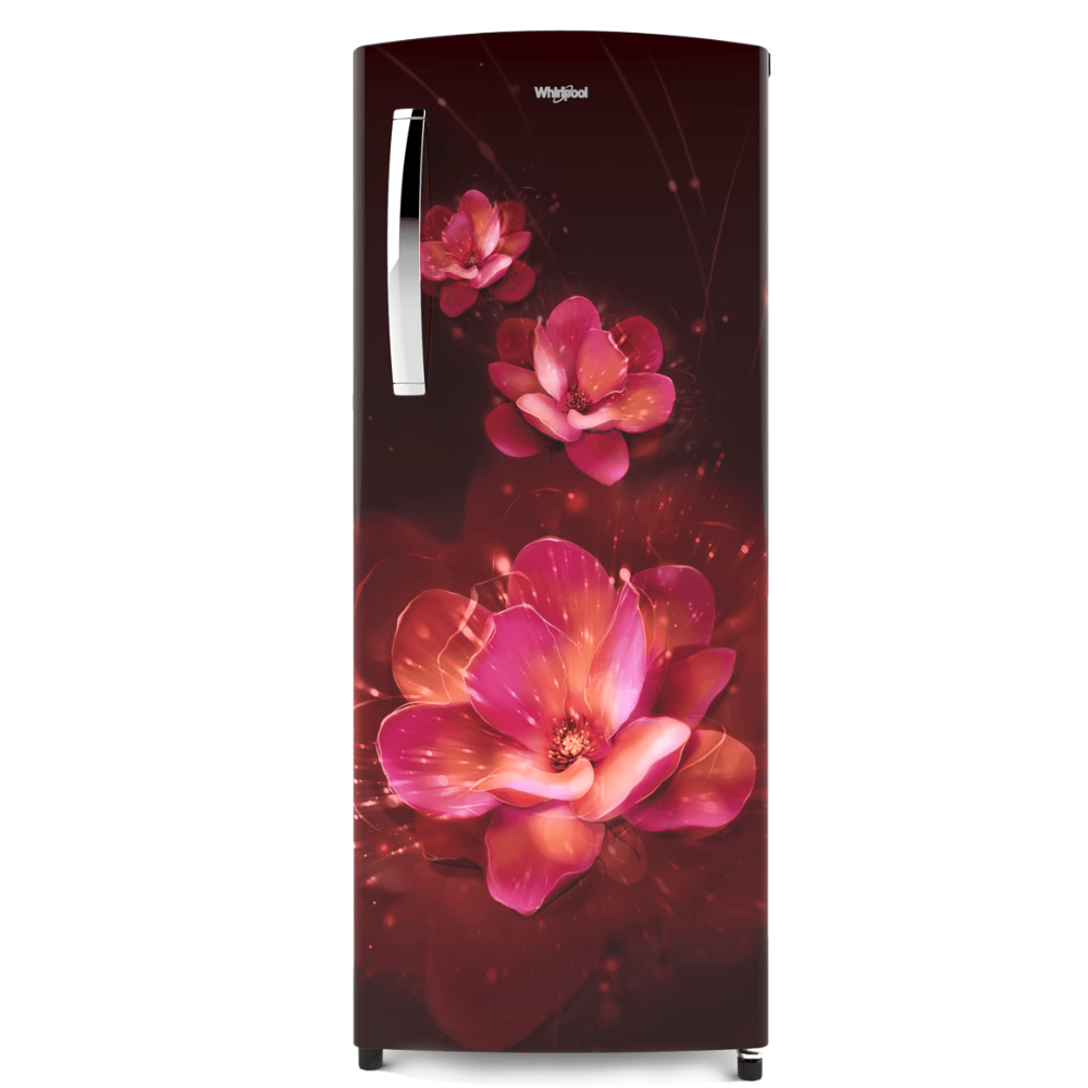 Icemagic Pro Plus 274L 3 Star Single-Door Refrigerator - Flume 0