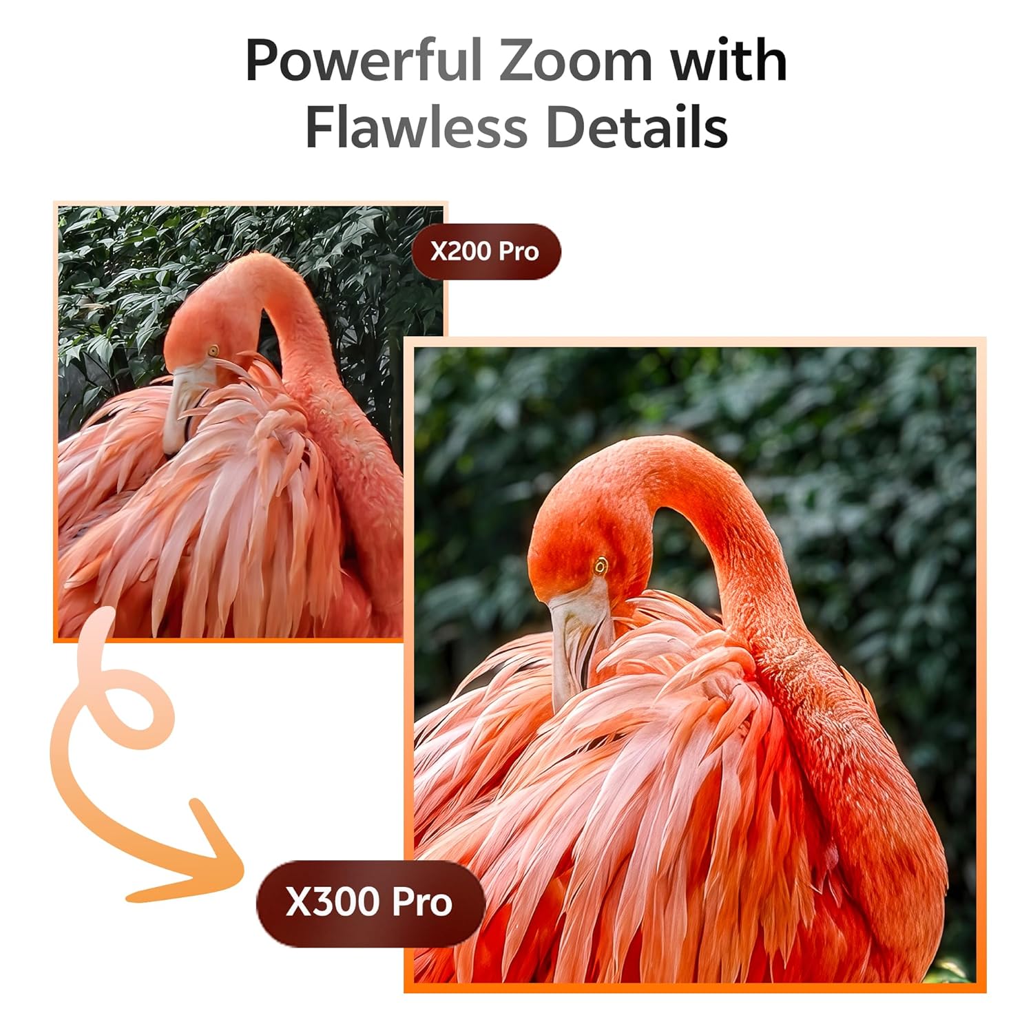 vivo X300 Pro 5G (Elite Black, 16GB RAM, 512GB Storage) 8