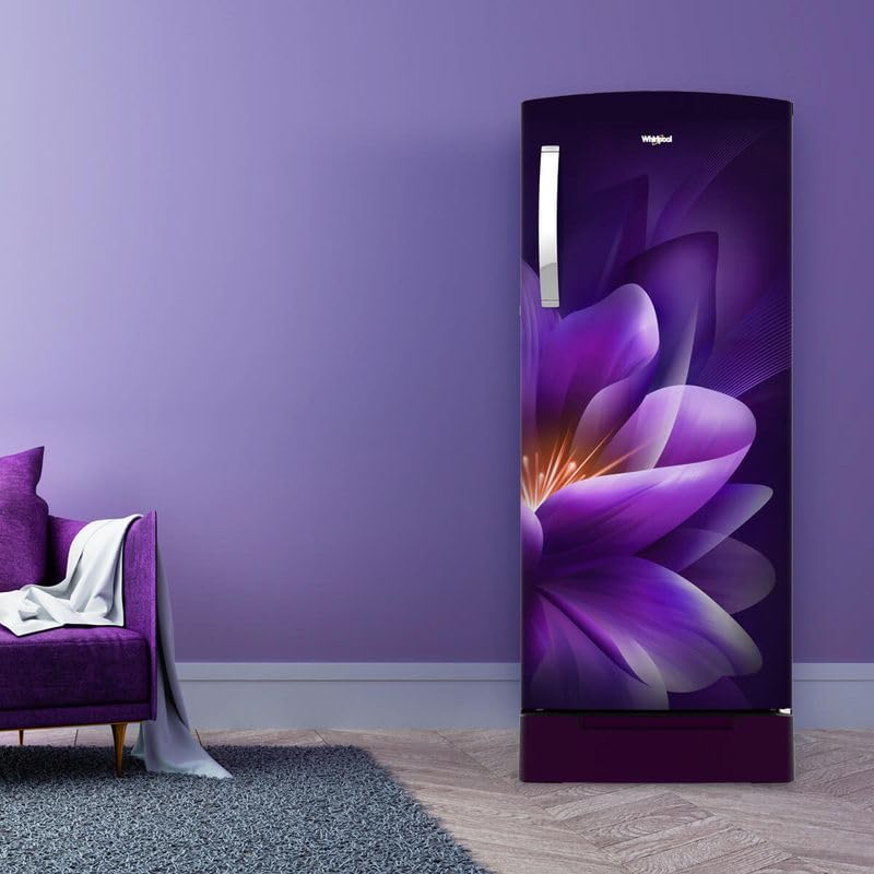 whirlppol 215 IMPRO ROY 3S PURPLE FOREST-Z 1